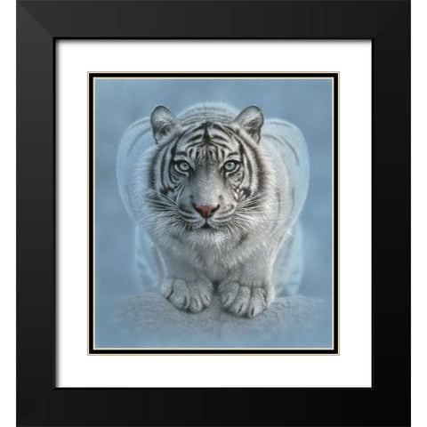 White Tiger - Wild Intentions Black Modern Wood Framed Art Print with Double Matting by Bogle, Collin
