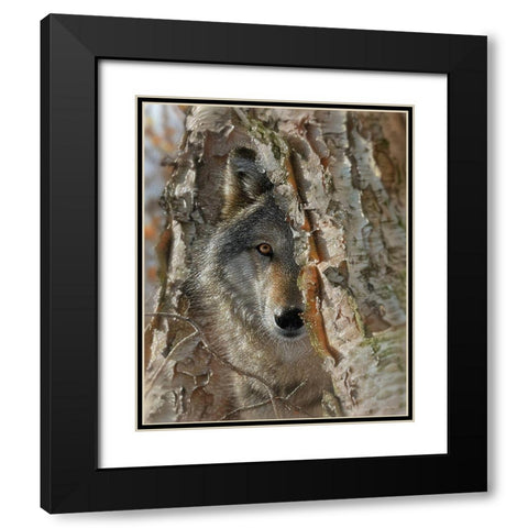 Close Encounter Black Modern Wood Framed Art Print with Double Matting by Bogle, Collin
