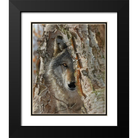 Close Encounter Black Modern Wood Framed Art Print with Double Matting by Bogle, Collin