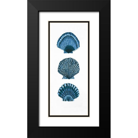 Shells Black Modern Wood Framed Art Print with Double Matting by Shamp, Cindy
