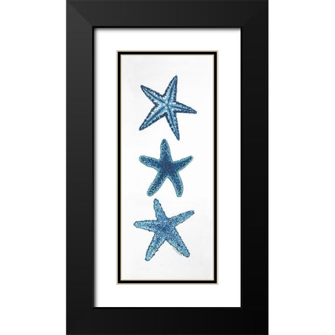 Starfish Black Modern Wood Framed Art Print with Double Matting by Shamp, Cindy