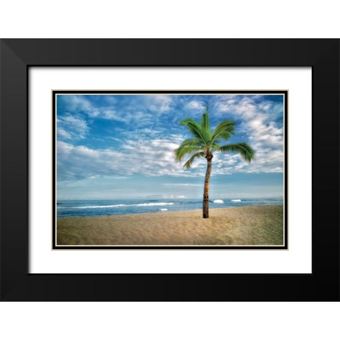 Blue and Green Black Modern Wood Framed Art Print with Double Matting by Frates, Dennis
