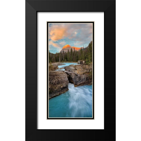 Orange Capped II Black Modern Wood Framed Art Print with Double Matting by Frates, Dennis