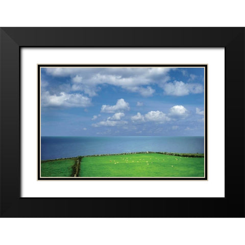 Sheep Herd Black Modern Wood Framed Art Print with Double Matting by Frates, Dennis