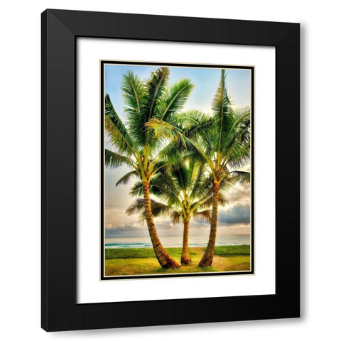 Triple Palm Black Modern Wood Framed Art Print with Double Matting by Frates, Dennis