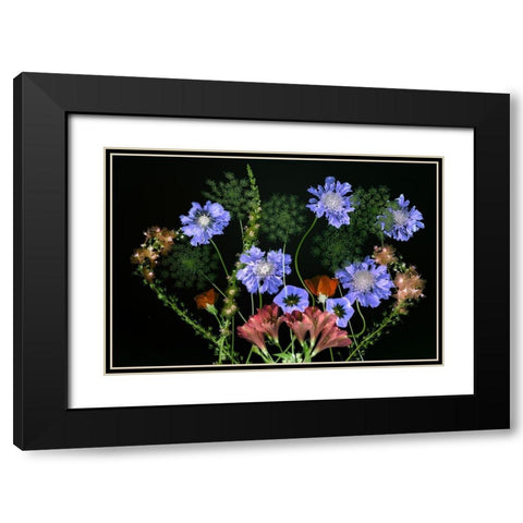 Botanical XI Black Modern Wood Framed Art Print with Double Matting by Frates, Dennis