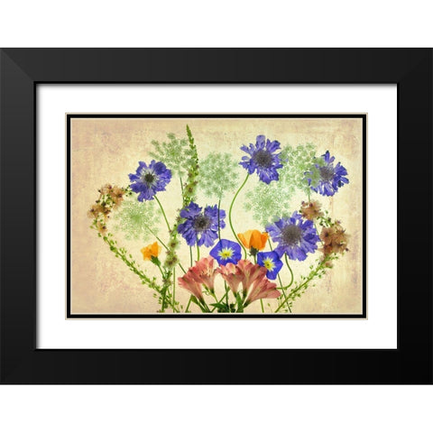 Botanical IX Black Modern Wood Framed Art Print with Double Matting by Frates, Dennis