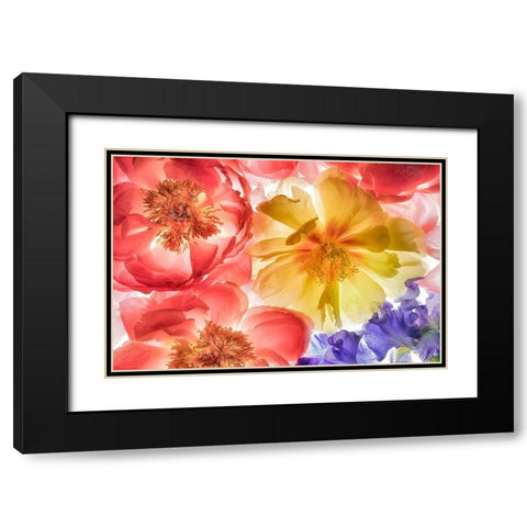 Botanical VIII Black Modern Wood Framed Art Print with Double Matting by Frates, Dennis