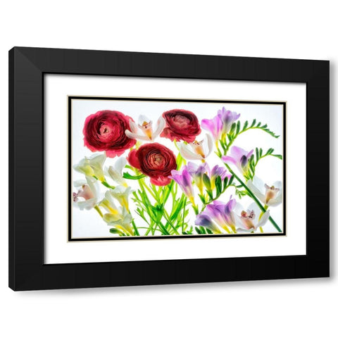 Botanical IV Black Modern Wood Framed Art Print with Double Matting by Frates, Dennis