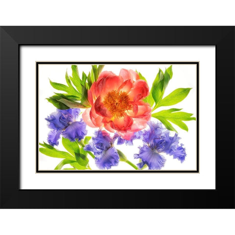 Botanical III Black Modern Wood Framed Art Print with Double Matting by Frates, Dennis