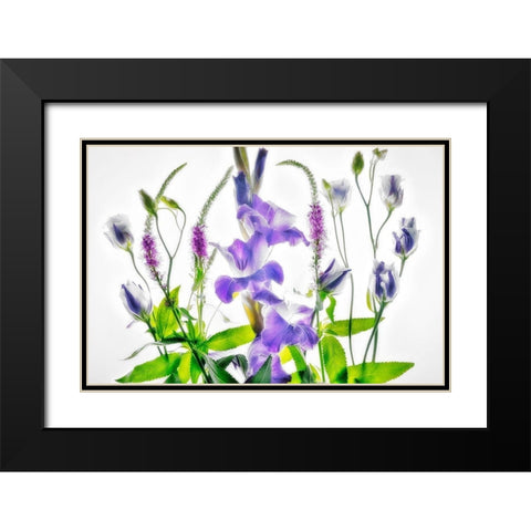 Botanical II Black Modern Wood Framed Art Print with Double Matting by Frates, Dennis