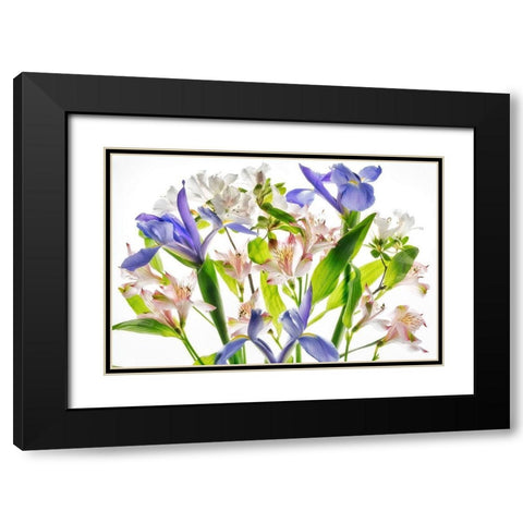 Botanical I Black Modern Wood Framed Art Print with Double Matting by Frates, Dennis