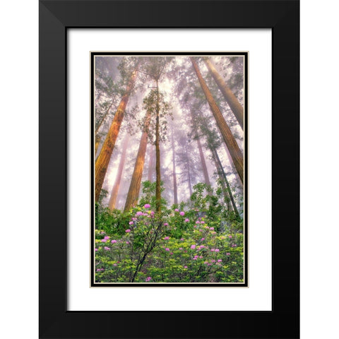Look Up Black Modern Wood Framed Art Print with Double Matting by Frates, Dennis