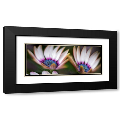 A Pair Black Modern Wood Framed Art Print with Double Matting by Frates, Dennis