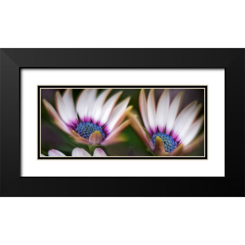 A Pair Black Modern Wood Framed Art Print with Double Matting by Frates, Dennis