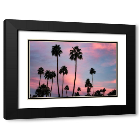 Palm Sunset Black Modern Wood Framed Art Print with Double Matting by Frates, Dennis