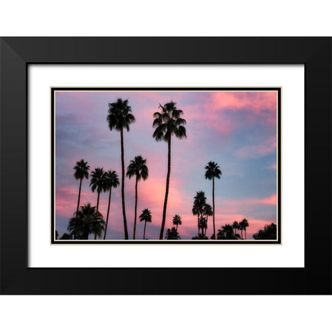 Palm Sunset Black Modern Wood Framed Art Print with Double Matting by Frates, Dennis