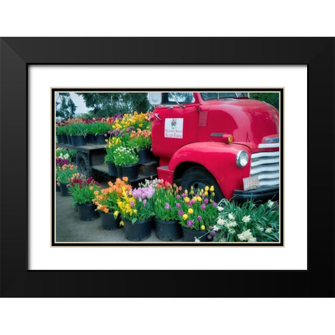 Floral Truck Black Modern Wood Framed Art Print with Double Matting by Frates, Dennis