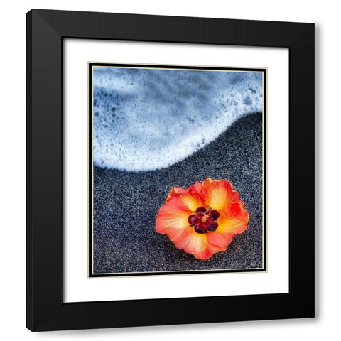 Beach Floral Black Modern Wood Framed Art Print with Double Matting by Frates, Dennis