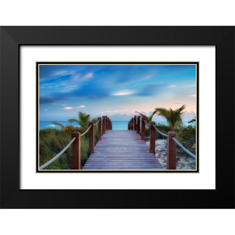 Paradise Path Black Modern Wood Framed Art Print with Double Matting by Frates, Dennis