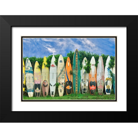 Surfboards Black Modern Wood Framed Art Print with Double Matting by Frates, Dennis