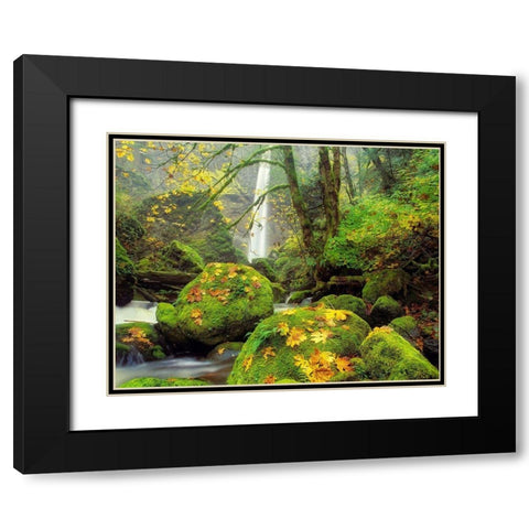 Green Heaven Black Modern Wood Framed Art Print with Double Matting by Frates, Dennis