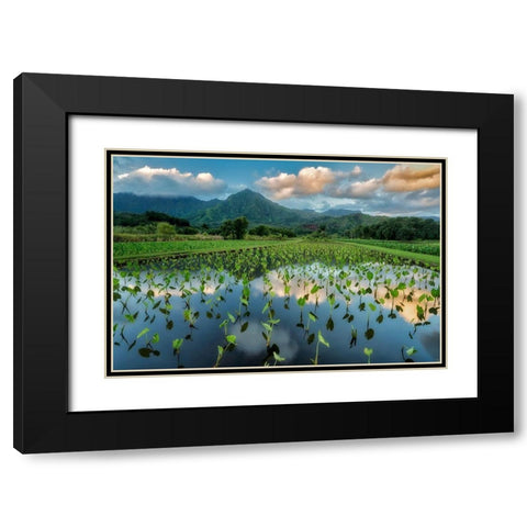 Emerald Landscape Black Modern Wood Framed Art Print with Double Matting by Frates, Dennis