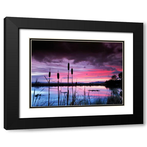 Purple Skies Black Modern Wood Framed Art Print with Double Matting by Frates, Dennis