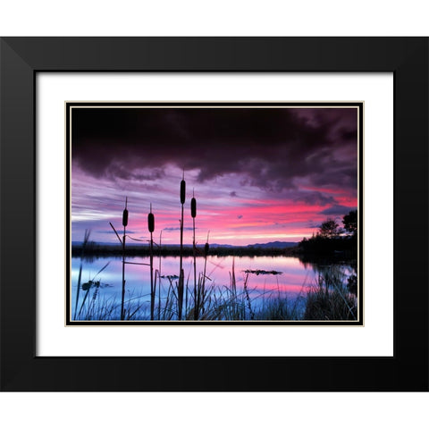 Purple Skies Black Modern Wood Framed Art Print with Double Matting by Frates, Dennis