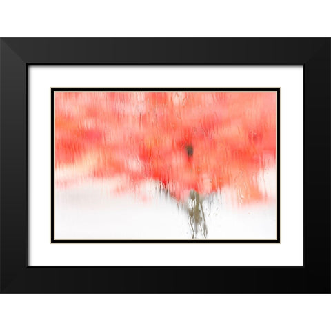 Coral Window Black Modern Wood Framed Art Print with Double Matting by Frates, Dennis