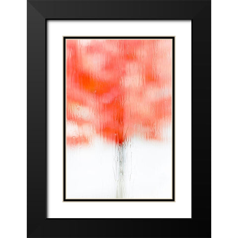 Coral Window II Black Modern Wood Framed Art Print with Double Matting by Frates, Dennis