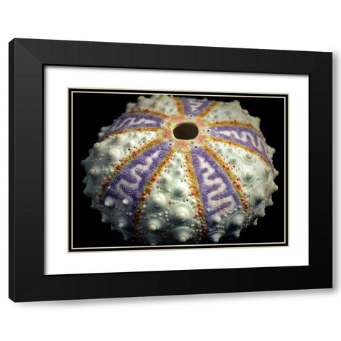 Zig Zag Black Modern Wood Framed Art Print with Double Matting by Frates, Dennis