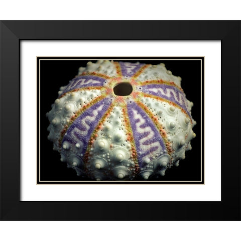 Zig Zag Black Modern Wood Framed Art Print with Double Matting by Frates, Dennis