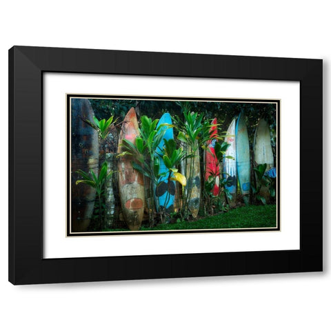 Line Up Black Modern Wood Framed Art Print with Double Matting by Frates, Dennis