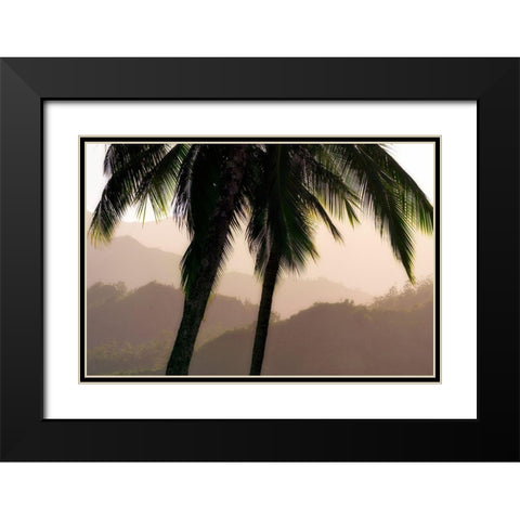 Misty Palms Black Modern Wood Framed Art Print with Double Matting by Frates, Dennis