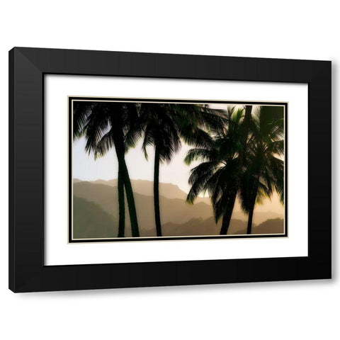 Misty Palms II Black Modern Wood Framed Art Print with Double Matting by Frates, Dennis