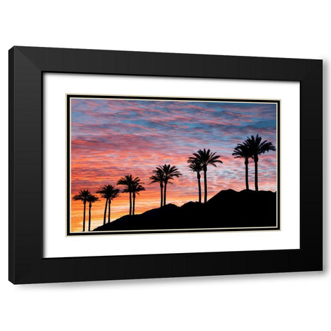 Palm Tree Sunset Black Modern Wood Framed Art Print with Double Matting by Frates, Dennis