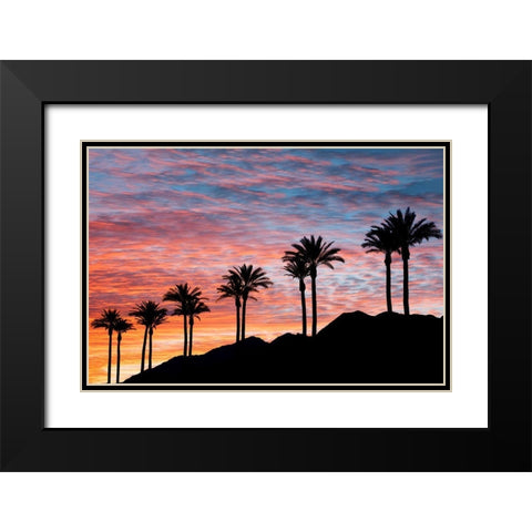 Palm Tree Sunset Black Modern Wood Framed Art Print with Double Matting by Frates, Dennis