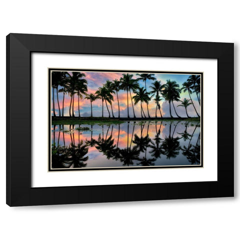 Palm Reflections Black Modern Wood Framed Art Print with Double Matting by Frates, Dennis
