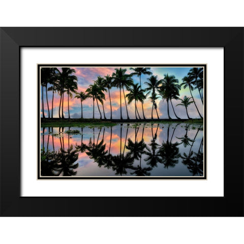 Palm Reflections Black Modern Wood Framed Art Print with Double Matting by Frates, Dennis