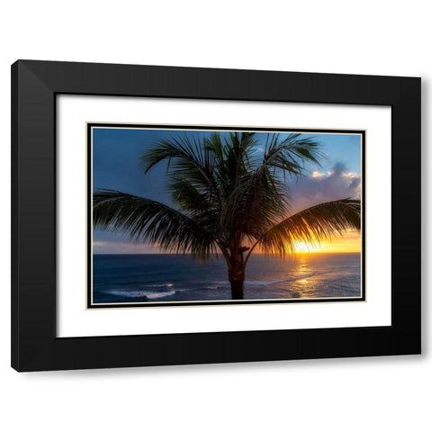 Palm Tree Sunset Black Modern Wood Framed Art Print with Double Matting by Frates, Dennis