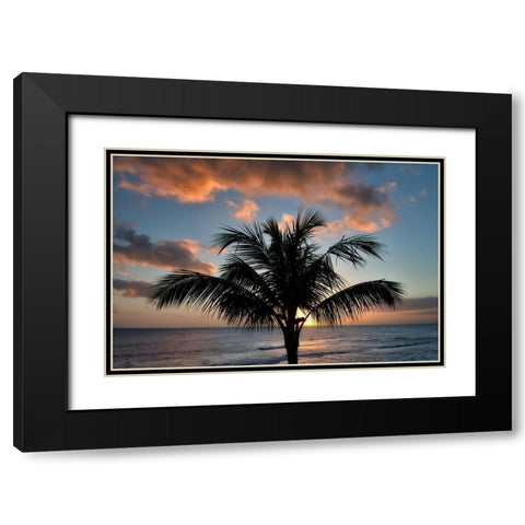 Palm Tree Sunset II Black Modern Wood Framed Art Print with Double Matting by Frates, Dennis