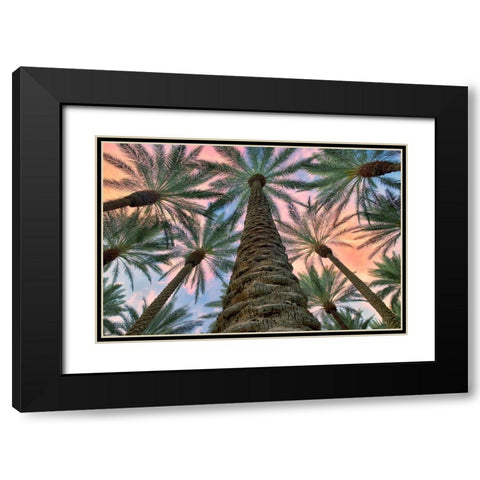 Worms Eye Black Modern Wood Framed Art Print with Double Matting by Frates, Dennis