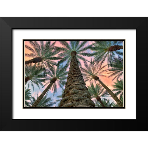 Worms Eye Black Modern Wood Framed Art Print with Double Matting by Frates, Dennis