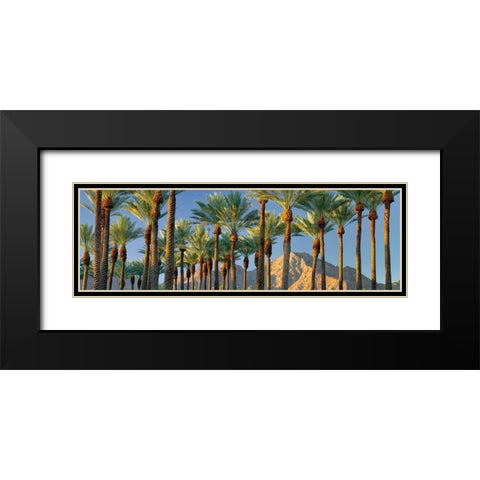 Trees Black Modern Wood Framed Art Print with Double Matting by Frates, Dennis