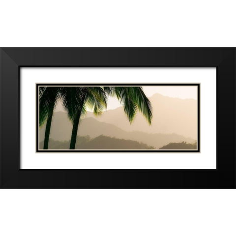 Misty Palms IV Black Modern Wood Framed Art Print with Double Matting by Frates, Dennis