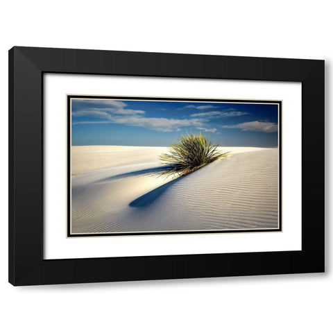 Dune Black Modern Wood Framed Art Print with Double Matting by Frates, Dennis
