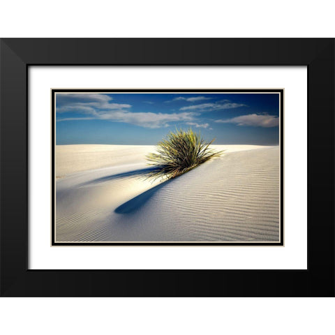 Dune Black Modern Wood Framed Art Print with Double Matting by Frates, Dennis