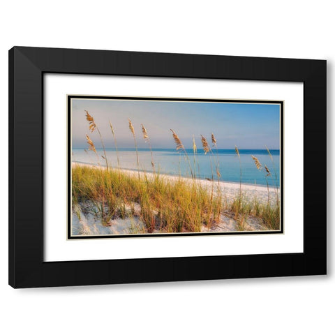 Breezy Black Modern Wood Framed Art Print with Double Matting by Frates, Dennis