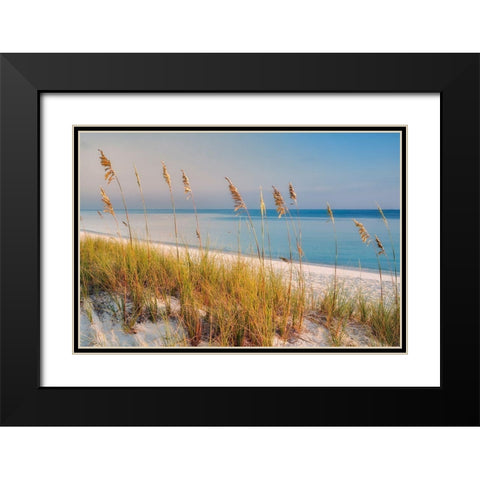 Breezy Black Modern Wood Framed Art Print with Double Matting by Frates, Dennis